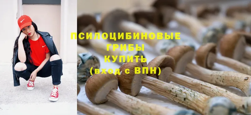 Псилоцибиновые грибы Magic Shrooms Бабаево